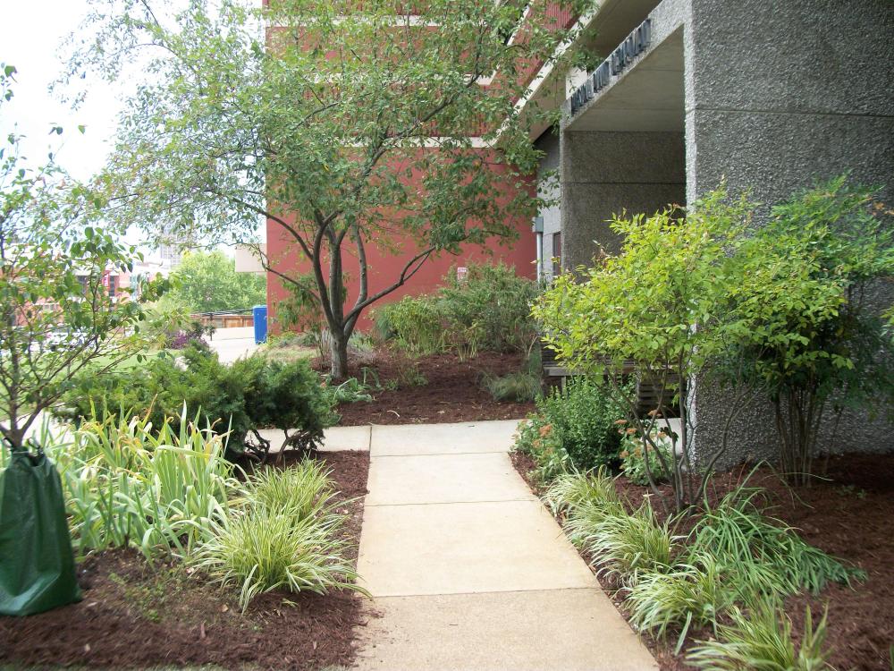 Garden at Dept. of Facilities Management