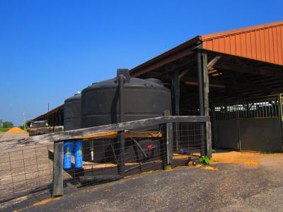 rainwater collection at farm