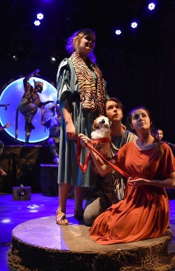 Aglionikes Tiger Aglionikes Tiger