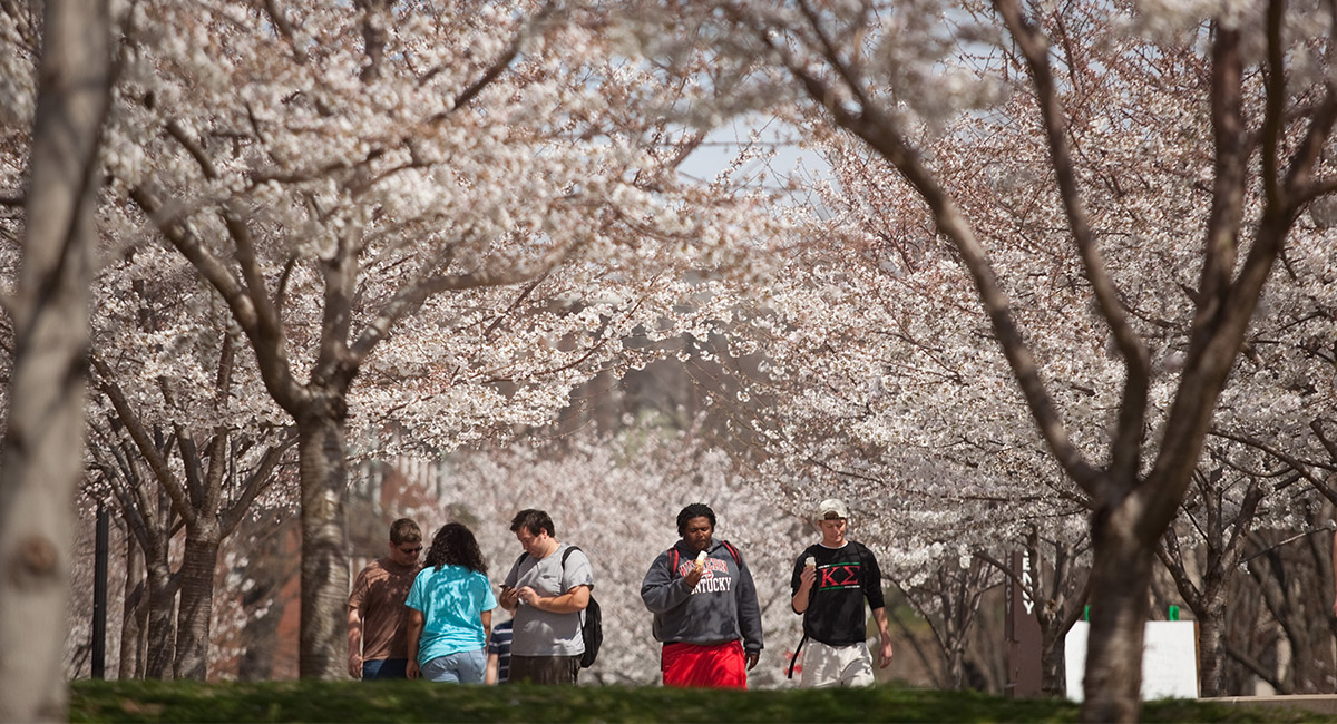 WKU | Smoke & Tobacco Free