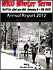 2012 report cover