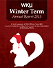 2013 report cover